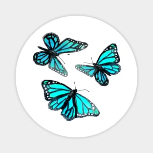 Blue Butterflies Magnet